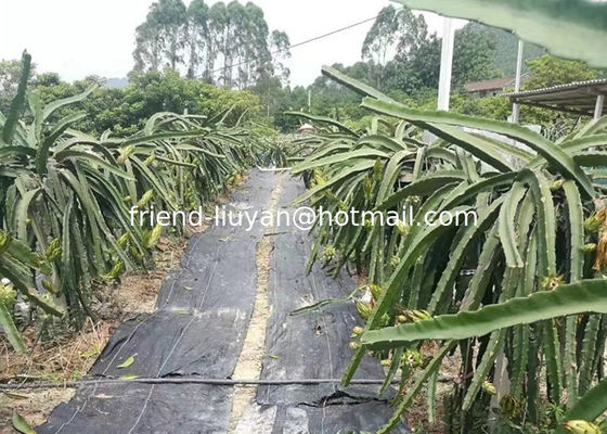 Soft 50cm Polypropylene Woven Ground Cover Membrane Black