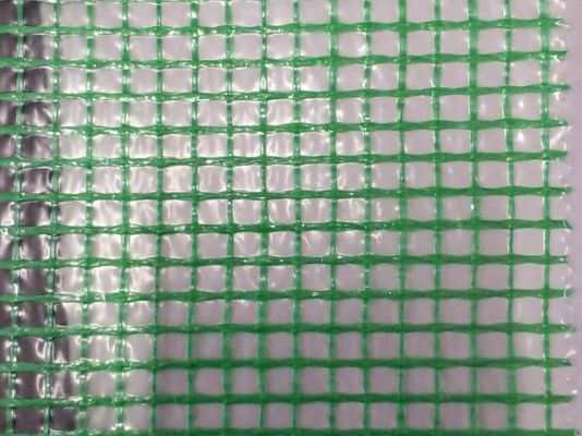 Super Quality Greenhouse Transparent Grid Tarpaulin Anti Raining Tarpaulin Warm Keep Tarpaulin Sheet 3*3mesh 135gsm